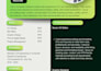 fast reliable professional CV editing